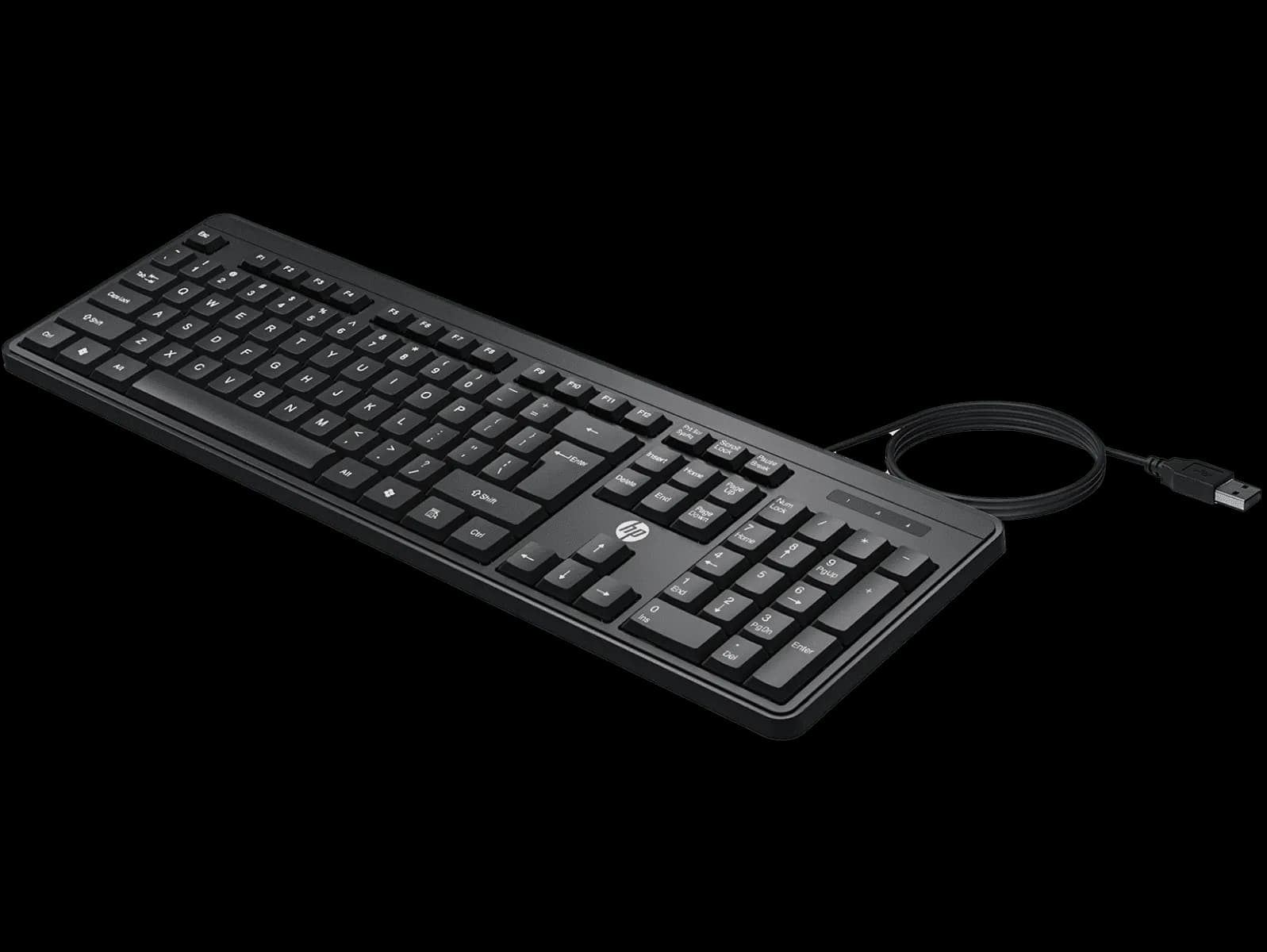 HP K100 Wired Keyboard