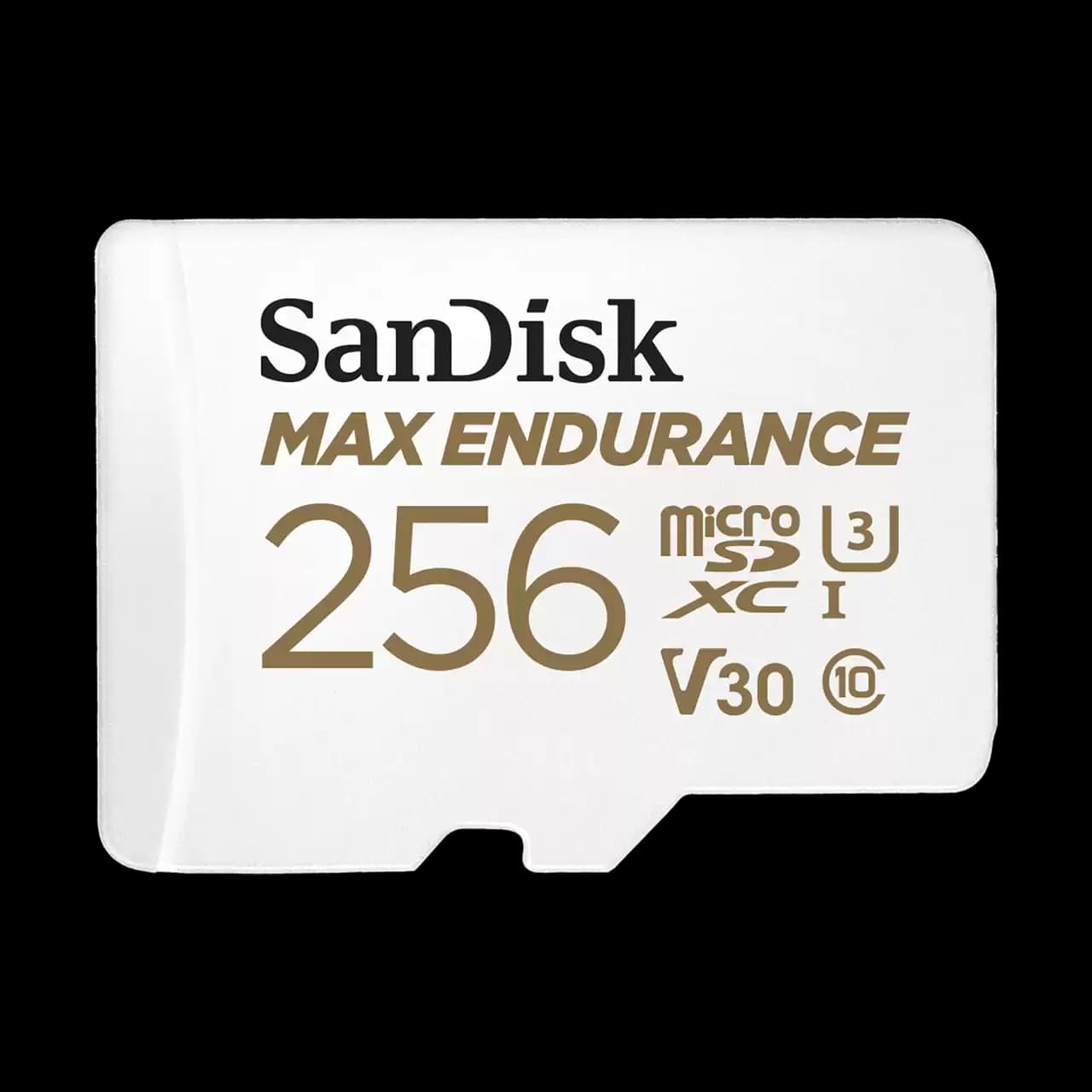 SanDisk MAX ENDURANCE microSD Card - 256GB
