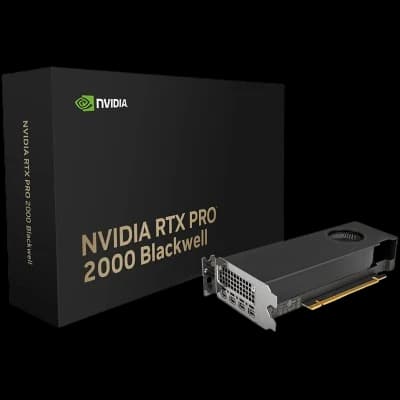 NVIDIA RTX PRO 2000 Low Profile Blackwell 16GB GDDR7 Professional Workstation GPU hover view