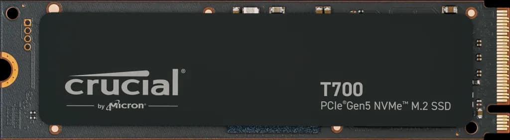CT1000T700SSD3