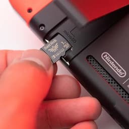 SanDisk 1TB microSDXC-Card Licensed for Nintendo-Switch MEMORY CARD