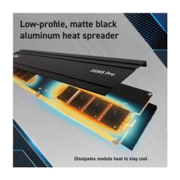 Crucial Pro 32GB DDR5-5600 UDIMM RAM