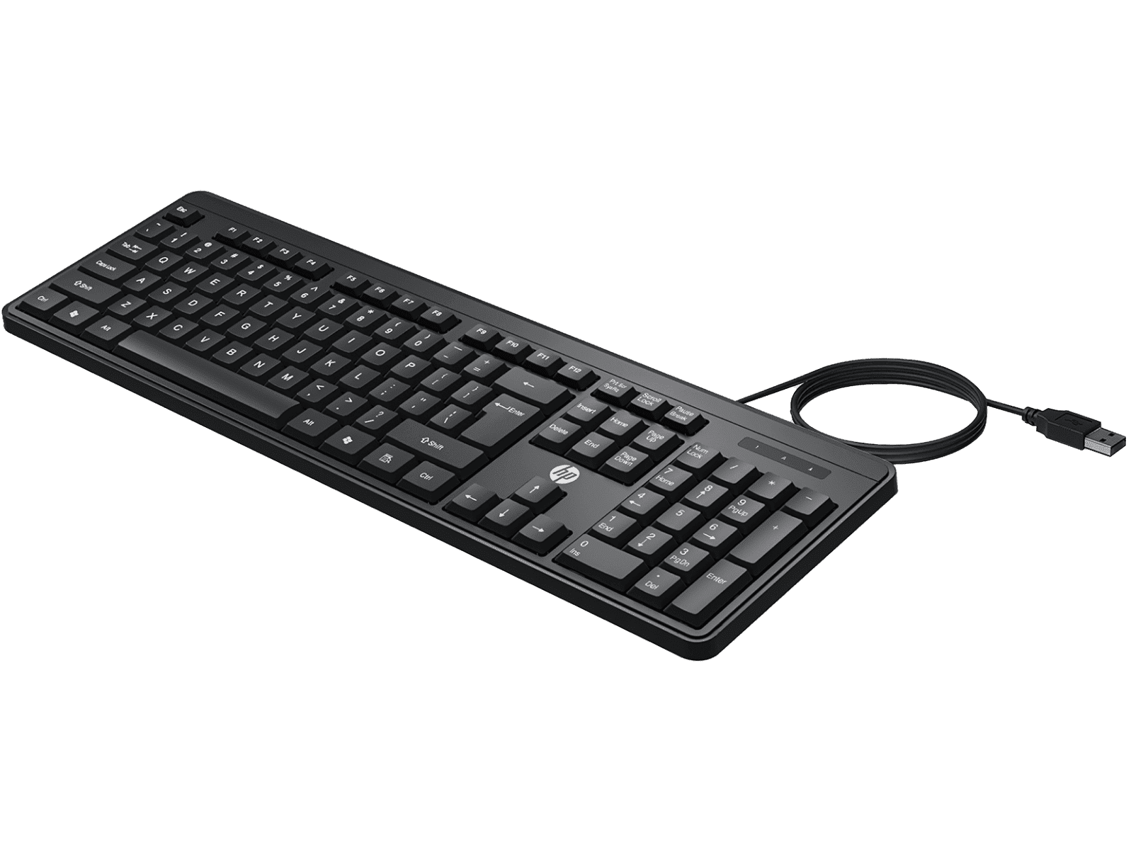 HP K100 Wired Keyboard