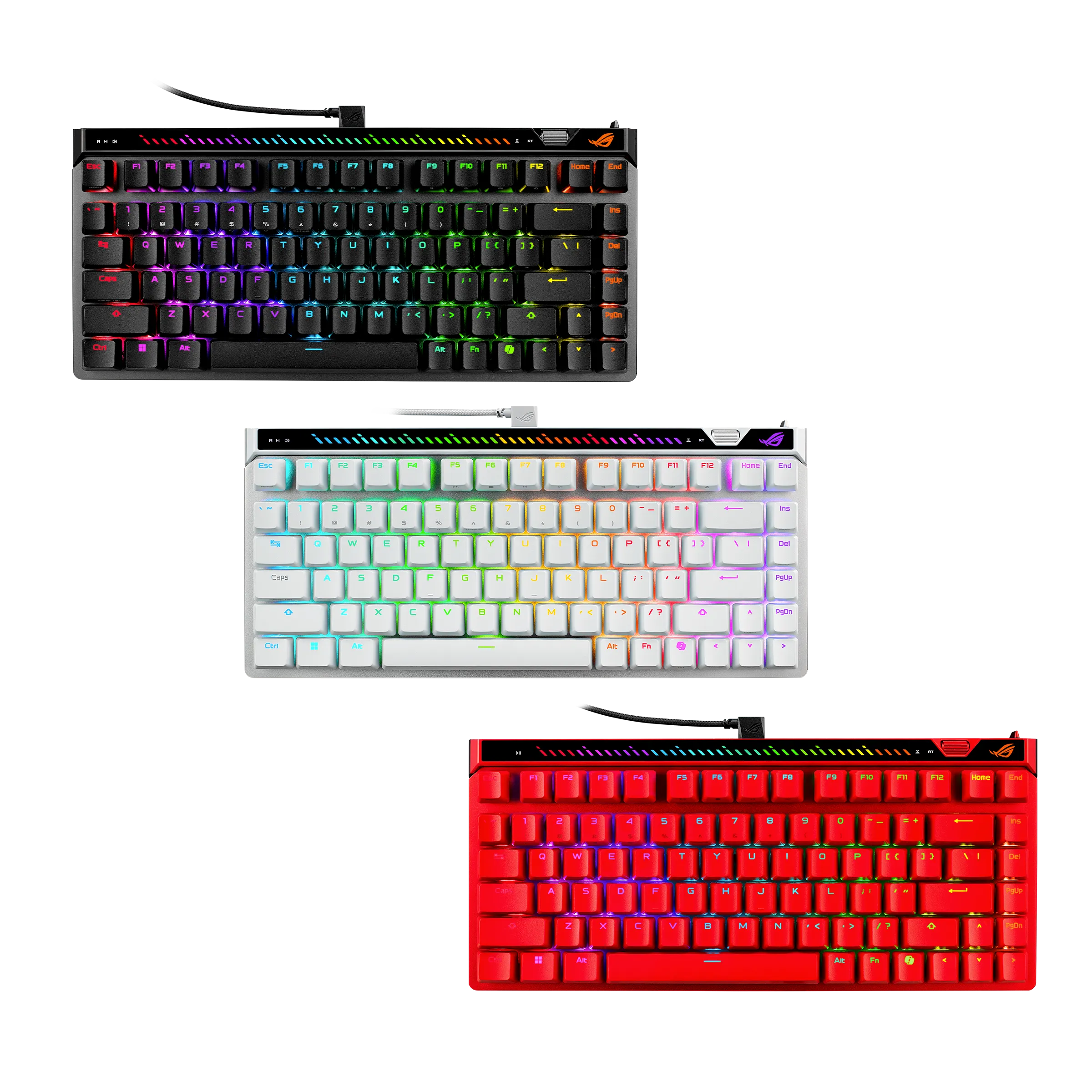 ASUS keyboard [M705FALCHION-75HE] (gaming rog)