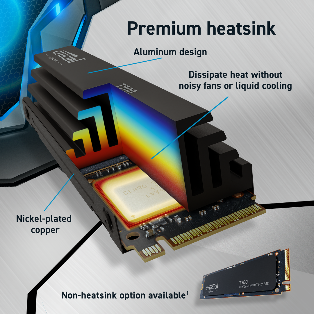 CT1000T700SSD3