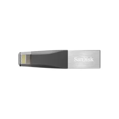 Sandisk 256 GB iXpand Mini Flash Drive